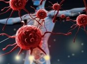 Ученые назвали вирусы, способные уничтожить человечество