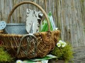 Лунный посевной календарь с 1 по 7 июля 2019 года