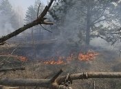 Пожары в Чернобыльской зоне: в Беларуси замерили радиационный фон