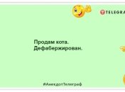 Встаешь в 6 утра — буди и кота. А что, только ему можно? Уморительные шутки про усатых и хвостатых