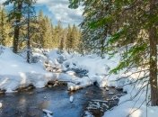 Какой сегодня праздник - День святого Прокопия Декаполита