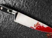 Афганца, ранившего в Вене 4 человек, задержала полиция