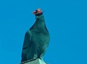 Голуби в ковбойских шляпах поставили Лас-Вегас на уши (Видео)