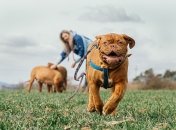 Фото: pixabay.com