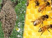 Это естественный процесс