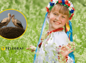 Маленькая украинка и аисты