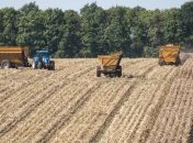 Евросоюз ввел пошлину на ввоз украинской кукурузы