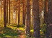 Бабье лето "накроет" Украину: прогноз погоды на завтра, 7 сентября