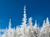 Прогноз погоды в Украине на сегодня: осадков не предвидится