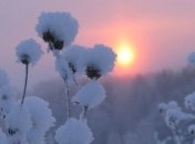 В выходные в Украине потеплеет