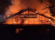 В немецком зоопарке в результате пожара погибли все обезьяны