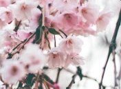 Какой праздник 30 марта: народные приметы и запреты