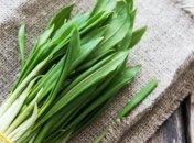 Диетолог рассказал, чем полезна и опасна черемша