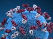 Немецкие ученые сделали открытие о передаче COVID-19