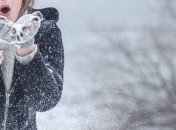 Київ ще досі не зустрів метеорологічну зиму