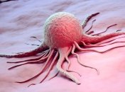 Биологи обнаружили заразные раковые опухоли 