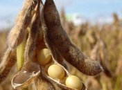 Китай ожидает увеличения украинского экспорта