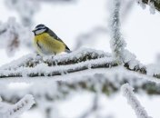 В Украину идет резкое похолодание: чего ждать от погоды в начале рабочей недели 