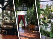 Сделали подборку заведений в Киеве, Львове, Ужгороде и Хмельницком, которые понравятся любителям растений