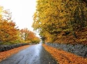 Утренние пробежки осенью: особенности и правила