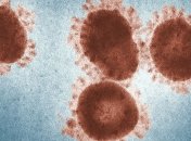 Американська розвідка заявляє, що COVID-19 має природне походження, а не штучне