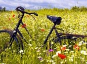 Погода в Украине 22 июня: сохранится высокая температура, местами дожди и грозы