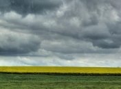 Погода в Украине 25 апреля: по всей территории страны буду дожди