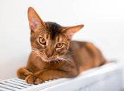 Как сделать дом теплее и уютнее