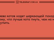Позитивная пауза рассмешит даже страуса: анекдоты 27 июля