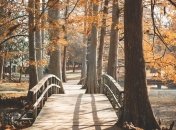 Дыхание прошлого: знаковые места, прославившиеся трагическими событиями