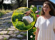 Очистити доріжки на дачі ще ніколи не було так легко