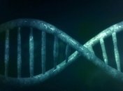 All of Us: В США стартует масштабный проект по расшифровке человеческого ДНК