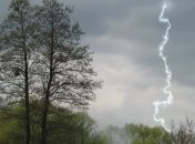 Во Львове молния убила мужчину и ребенка 