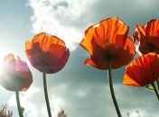 Прогноз погоды на 19-20 мая: Украину накроют ливни с грозами