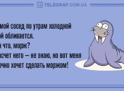 Для начала удачного дня: утренние анекдоты 12 марта