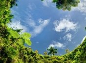 Завораживающая красота: природный бассейн То Суа (Фото)