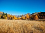 11 ноября. Приметы дня