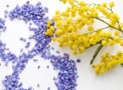 Институт национальной памяти предлагает сократить число праздничных дней