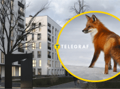 ЖК "Квадрат" в Ужгороде, лиса