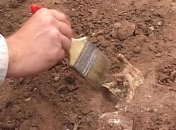 Археологи нашли в Китае инструменты из кости возрастом 115 000 лет  