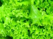 Листья салата - отличное beauty-средство