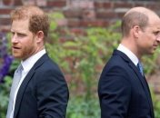 Приближенные принца Уильяма распространяли слухи о психическом здоровье его брата