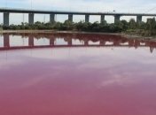 В Австралии озеро стало розового цвета