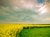 Какой сегодня праздник - День Исаакия Змеевика