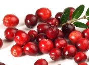 Чем полезны ягоды клюквы