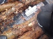 Госпогранслужба: на Закарпатье обнаружено 7,5 тыс. пачек контрабандных сигарет