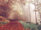 Свято 15 жовтня: головні прикмети і що категорично заборонено робити