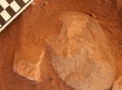 Австралийские ученые сделали сенсационное открытие