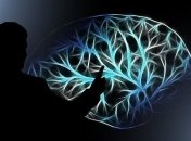 Как работает человеческий мозг: Супрун развенчала очередной миф 