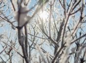 День Прохора 23 февраля: народные приметы и запреты